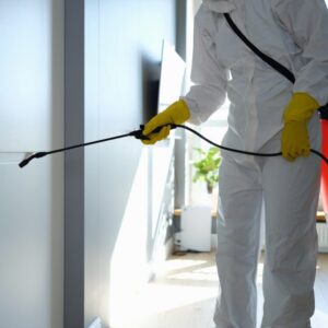 Bed Bugs Control